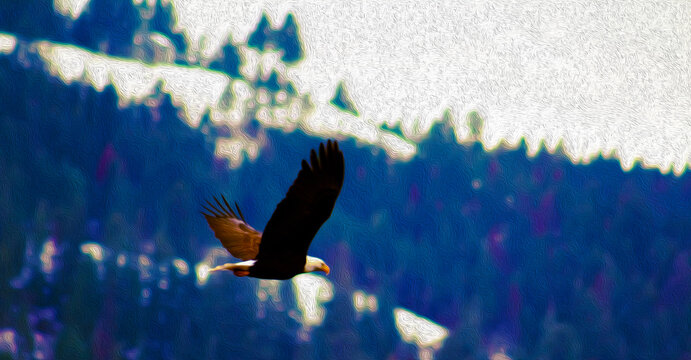 Eagle Flying or Soaring Freedom (filtered photo) - Veterans Day, Memorial Day, Independence National Bird of the United States of America, One Nation Under God, Patriotic, Patriotic Publication