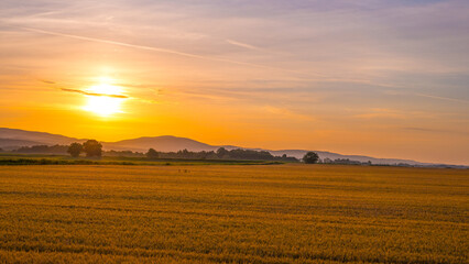 Fototapeta premium Sunrise over gain fields, Slavonia region of Croatia