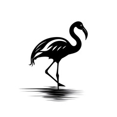 a black flamingo with a long beak