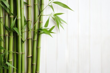 Top view of green bamboo stems on white wooden background with space for text