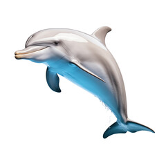 a dolphin jumping in the air