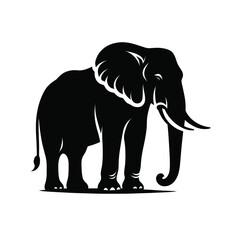 Obraz premium silhouette of elephant