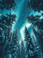 The Aurora Northern Lights flicker in the winter night sky above a forest in Sweden. Photo Composite. : Generative AI
