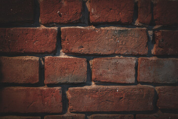 Brick wall as a background. 