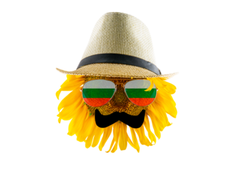 Sunflower in a hat, with a mustache and glasses in the form of the Bulgaria flag (close-up) on a transparent background