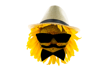 Blooming yellow sunflower wearing a hat, glasses, bow tie and mustache (close-up) on a transparent background