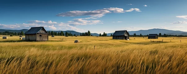 Zelfklevend Fotobehang meadow landscape on farm © nomesart