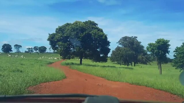 time lapse dirigindo por estrada na cidade de Costa Rica, Estado do Mato Grosso do Sul, Brasil