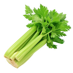 Celery, PNG picture, no background image.