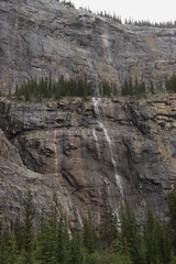 Fototapeta na wymiar no people, beauty in nature, Canadian Rockies 