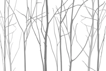 Fotobehang tree silhouette illustration © woidong