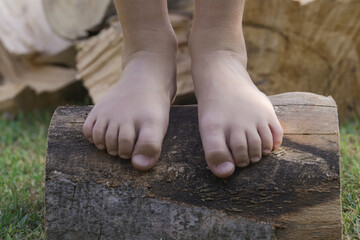 Child feet on wood log, barefoot little girl on tree trunk, countryside lifestyle, concept of grounding and connecting with nature - obrazy, fototapety, plakaty