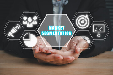 Market segmentation concept, Businesswoman hand holding market segmentation icon on virtual screen.