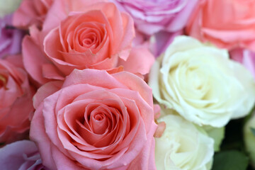 Beautiful bouquet of aromatic roses as background, closeup