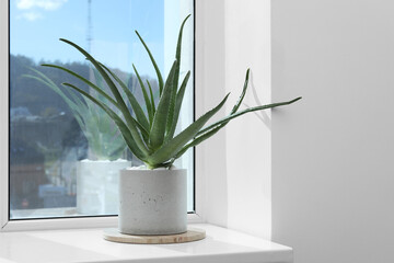 Beautiful potted aloe vera plant on windowsill indoors, space for text