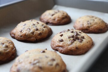 Baking pan with chocolate chip cookies, closeup