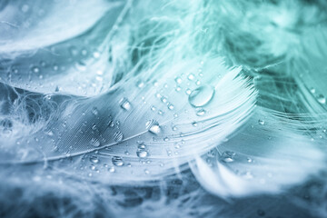 Fluffy feathers with water drops as background, closeup. Color toned - obrazy, fototapety, plakaty