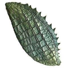 Lizard skin, PNG picture, no background image.