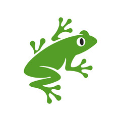 Make a Professional Frog Vector Logo