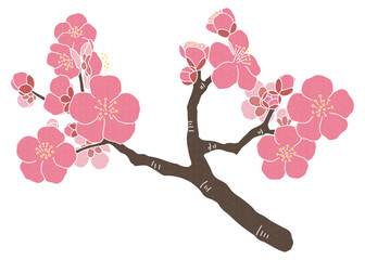 梅の枝のカットイラスト　梅の花　ベクター