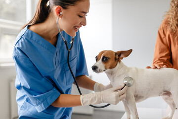 Vet conducts heart exam on dog with owner