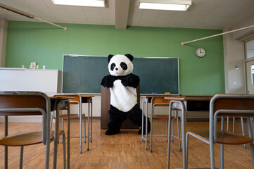 誰もいない学校の教室で踊るパンダ