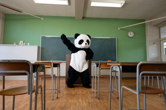 誰もいない学校の教室で踊るパンダ
