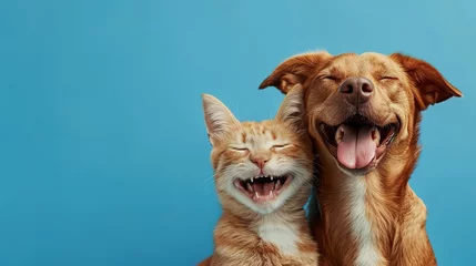 Foto op Plexiglas Banner pets. Dog and cat smiling dogs with happy expression. and closed eyes. Isolated on blue colored background on summer or spring season © Jennifer
