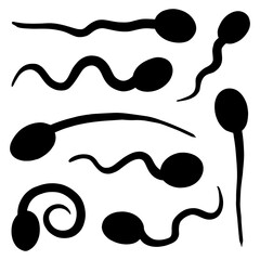 Vector hand drawn sperm icon thin black line doodle tadpole in vector illustration