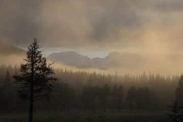 Obraz na płótnie Canvas Mountain through Golden Fog and Low Clouds