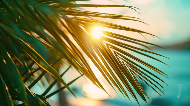 Beautiful nature green palm leaf on tropical beach with bokeh sun light wave abstract background. Copy space of summer vacation and business travel concept