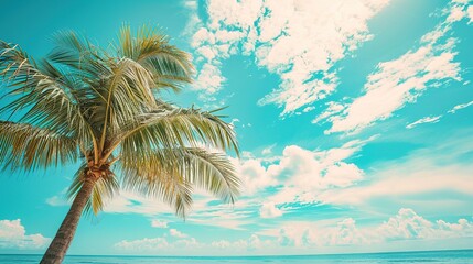 Fototapeta na wymiar Palm tree on tropical beach with blue sky and white clouds abstract background. Copy space of summer vacation and business travel concept