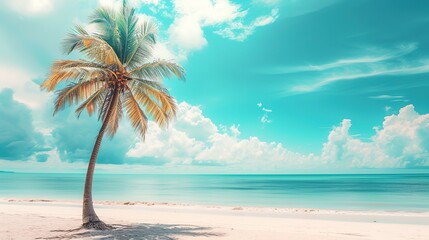 Fototapeta na wymiar Palm tree on tropical beach with blue sky and white clouds abstract background. Copy space of summer vacation and business travel concept