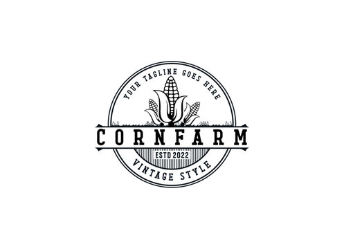 Corn farm logo design. Agriculture corn logo stamp.