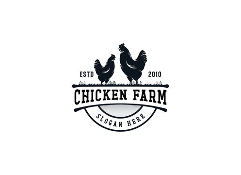 Minimalist and Simple Chicken Farm Logo. For business template illustration. Chicken mascot logo vector, Illustration of chicken.