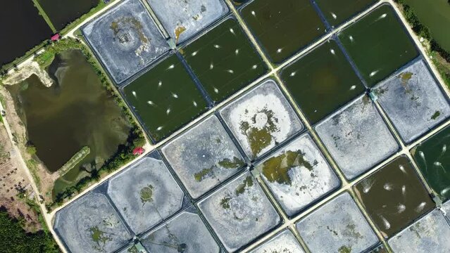 Aerial view of fish farm, shrimp farm.
