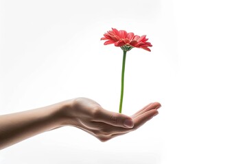 hand holding flower