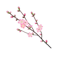 ひな祭り　桃の花のイラスト