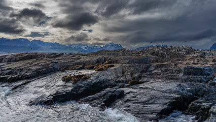 A family of sea lions lies on the rocky slopes of an island in the Beagle Channel. The cormorants are sitting on the cliffs. The waves are beating against the shore. Mountains against a cloudy sky.