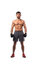 Fototapeta na wymiar Boxer standing looking at camera, isolated, full body, transparent background.