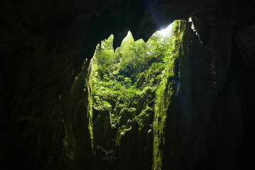 CLEARWATER Cave - Show cave tour at Gunung Mulu National Park