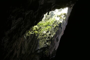 CLEARWATER Cave - Show cave tour at Gunung Mulu National Park