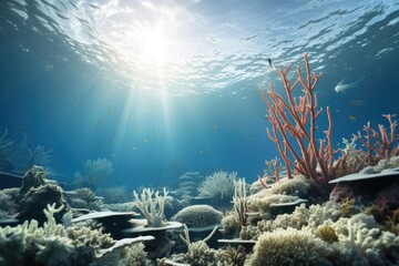 Fototapeta na wymiar Coral Bleaching Recovery: A hopeful scene of recovering coral reefs with new growth.