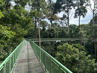 Rainforest Discovery Center. Sandakan is also the second largest town in Sabah, Malaysia. Known as the Natural City, Sandakan visitors have the opportunity to explore wildlife sanctuaries and discover