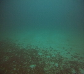 Fototapeta na wymiar The best diving spot Sipadan Island, Sabah state in Malaysia.