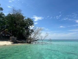 The best diving spot Sipadan Island, Sabah state in Malaysia.