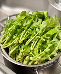 Cleanly washed fresh vegetables