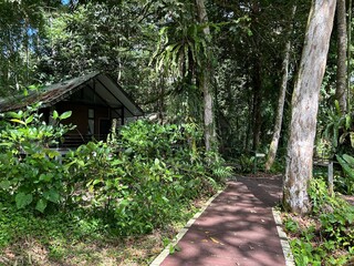 LANG Cave - Show cave tour at Gunung Mulu National Park