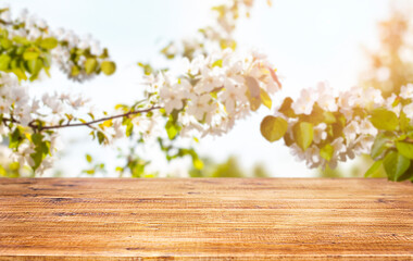 Naklejka na ściany i meble Wooden table in front of blooming tree. Spring background.