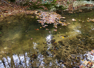 the beginning of a mountain river , a slow flow in a shallow riverbed